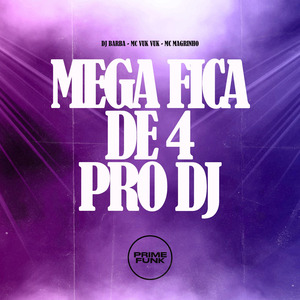 Mega Fica De 4 Pro Dj