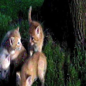 blacklisted (feat. imnotvrycreative)