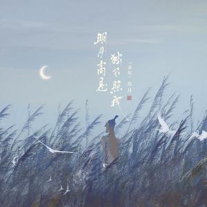 明月高悬 独不照我