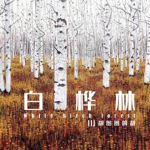 白桦林