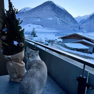 WIFI恋人使用说明书