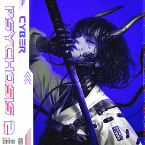 CYBER PSYCHOSIS 2