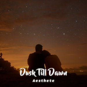 Dusk Till Dawn (Slowed and Reverb)