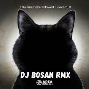 Dj Sulama Dekat (Slowed & Reverb) 🎧