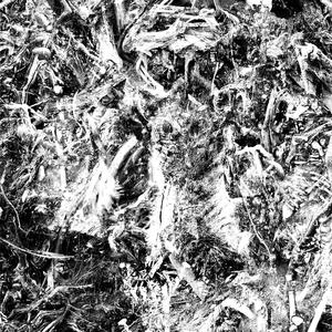 From Flesh to Mist / Pilgrim (feat. Olan Martin, Zach Fleming & Himangi Kulshrestha)