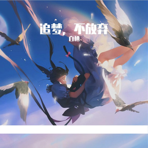 Path of Light（逐光之途）