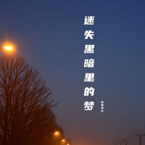 迷失黑暗里的梦