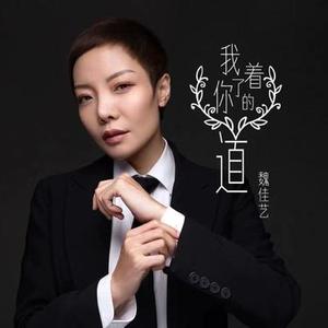 我着了你的道 (DJ何鹏版)