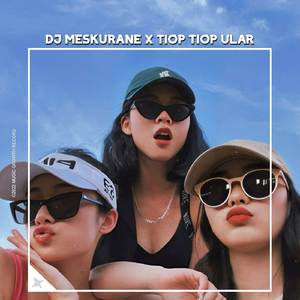 DJ MESKURANE X TIOP TIOP ULAR X TELAHEPA VIRAL TIKTOK TERBARU