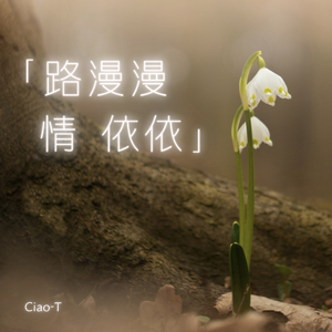 路漫漫 情依依（深情版）