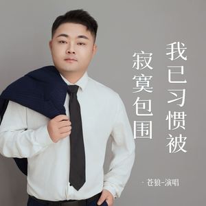 我已习惯被寂寞包围