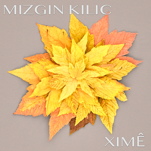 Ximê