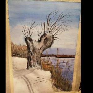 all the feelings i misplace