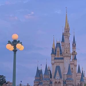 TheStar（翻自 音阙诗听 / 李佳思）