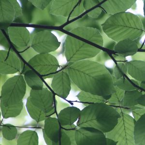 柔和的安静的时光时刻