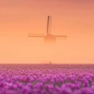 筷子兄弟-父亲（蓉蓉 remix）