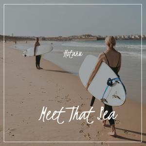Meet That Sea