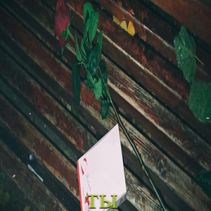 "ТЫ"
