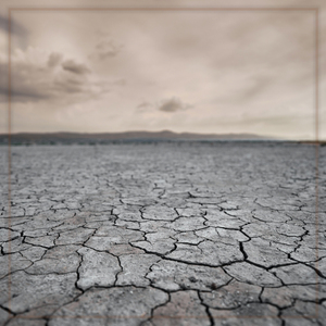 너의 이름을 너의 이름을