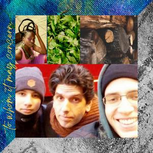 Transcendent Forms (Revisited)