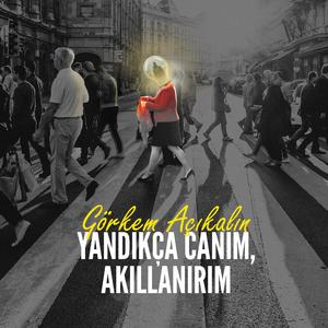 Yandıkça canım, akıllanırım
