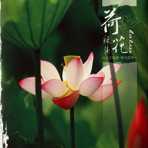 给所有还有梦想的人