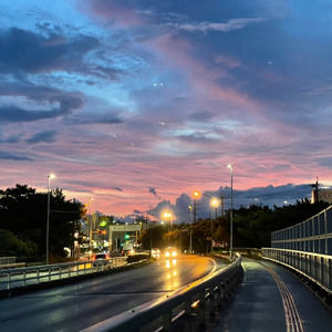 お天道様にしなはいん.Lecchi&Vert pot