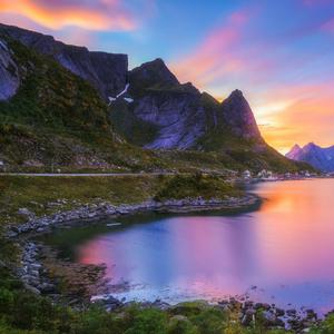 明日德繁花落叶嗄7