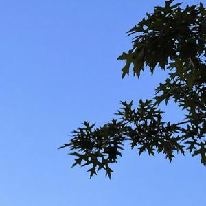 我想这一切都关于你