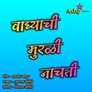 Dimadi Vajati (feat. Kunal Mohite Vishal Mohite)