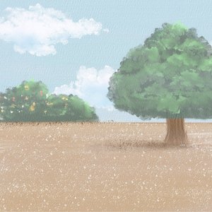 流星也为你落下来了