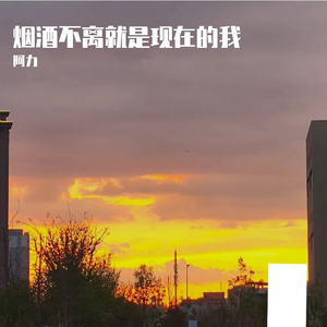 烟酒就是现在的我