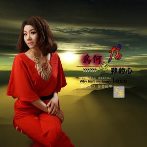 为何要伤我的心 (广场舞版)