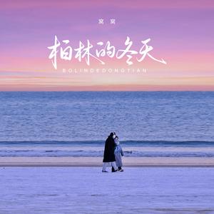 柏林的冬天 (DJ光波版)