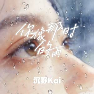 你像那时的雨