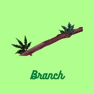 Branch