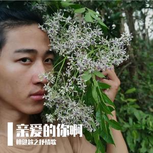 爱不起(OT：我是真的爱上你)（Cover）