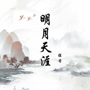 明月天涯