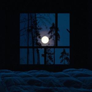 La Notte, Le Sue Verità