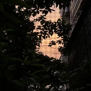 危险派对