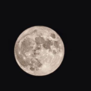 生日快乐（翻自 李雪莱 ）