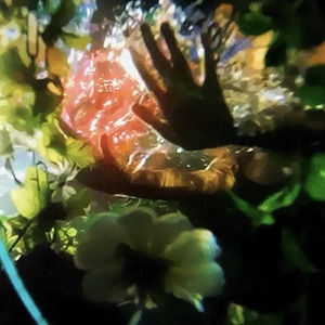 Calls