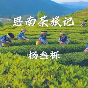 思南茶旅记