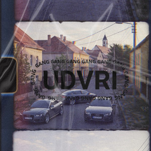 UDVRI GANG