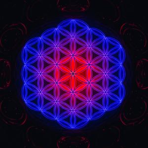 Melody of Your Frequency