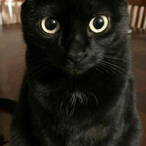 Corey's Intro (nightcore)