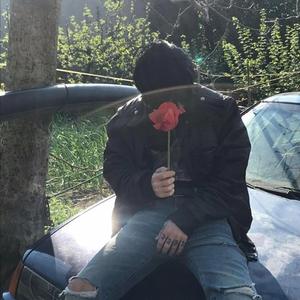 Se intoarce in ocean