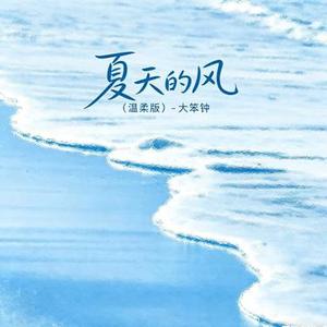 夏天的风