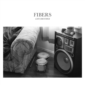 Fibers