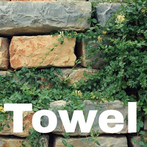 Towel